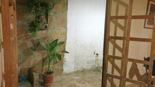 Bed & Breakfast Suite Apart La Finca