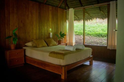 Lodge La Habana Amazon Reserve