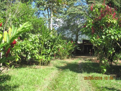Agroturismo El Cacaotal