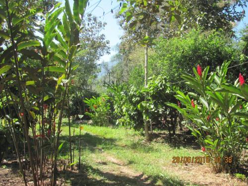 Agroturismo El Cacaotal