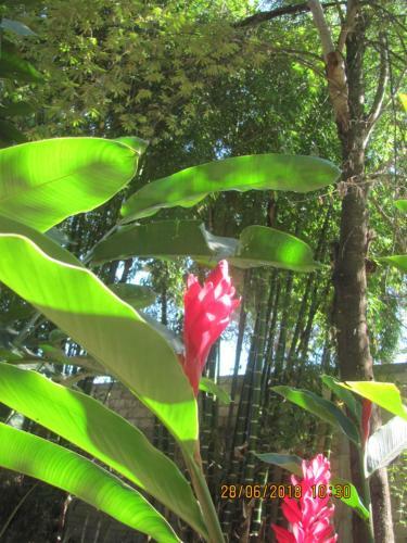 Agroturismo El Cacaotal