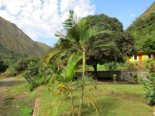 Eco Terra Lodge