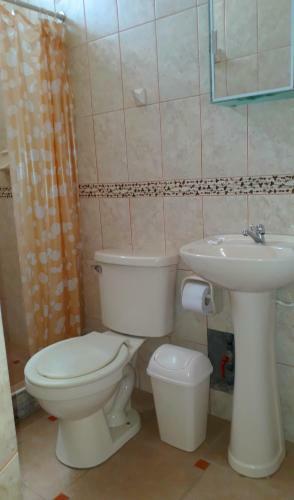 Hostal Alojamiento Familiar Villa Palmeras