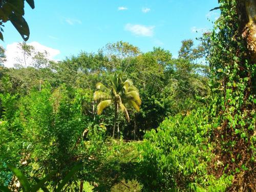 Lodge Hampichicuy Ecoalojamiento