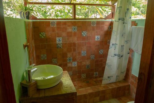 Bed & Breakfast Aventura Rincon Ecolodge