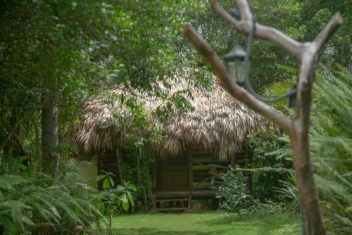 Bed & Breakfast Aventura Rincon Ecolodge