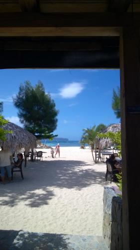 Hostal La Junglita