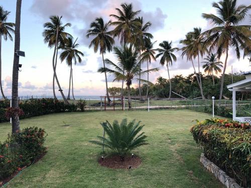 Bed & Breakfast Casa Azul Las Galeras