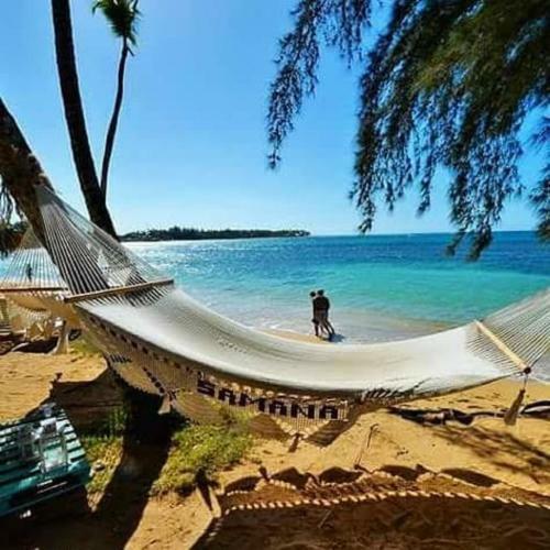 Apartamento Appartement Face � La Mer