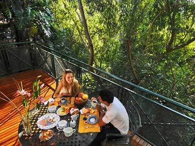 Hotel Iguazu Jungle Lodge