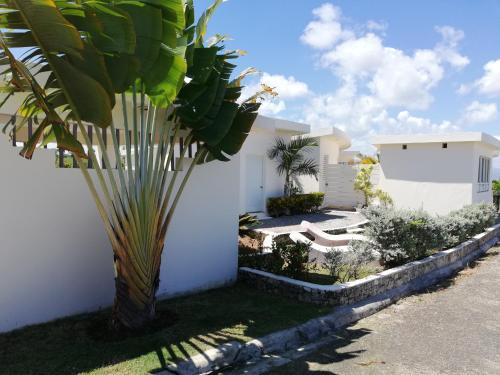 Bed & Breakfast Locations De Villas Et Chambres D'h�tes