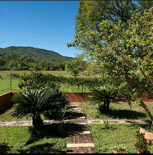 Hostal La Joya De Tuito Hotelito En La Plaza