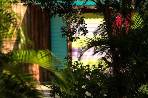 Lodge Pueblito Selva Chemuyil