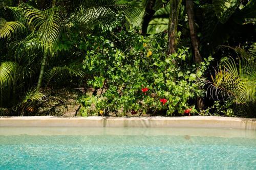 Lodge Pueblito Selva Chemuyil