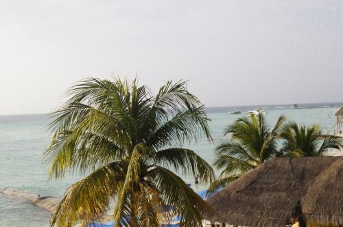 Chichis And Charlies Beachfront Hotel