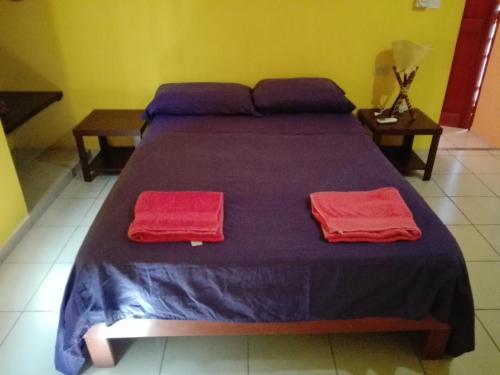 Apartamento Casa Mia