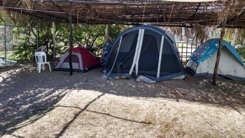 Camping Gigio Paradiso