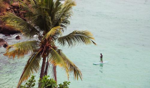 Albergue Bonobo Surf House