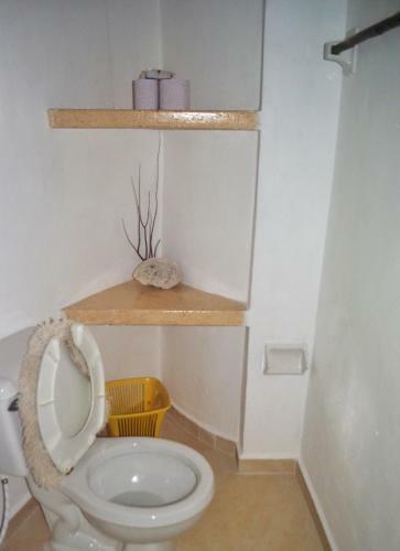 Lodge Drop By Nature Hotel - Ruta De Los Cenotes