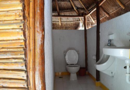 Lodge Drop By Nature Hotel - Ruta De Los Cenotes