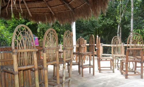 Lodge Drop By Nature Hotel - Ruta De Los Cenotes