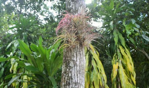 Lodge Drop By Nature Hotel - Ruta De Los Cenotes