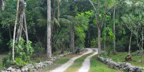 Lodge Drop By Nature Hotel - Ruta De Los Cenotes