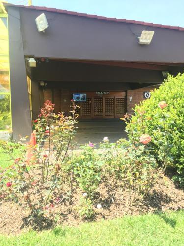 Hotel Oliver Inn Toluca