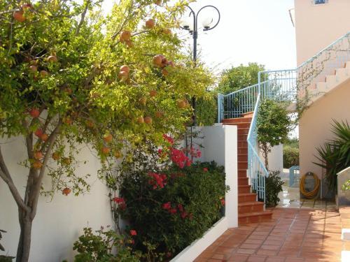 Hotel Golden Dream Apartments