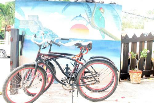 Casa Cotorro Best Tulum Adventures