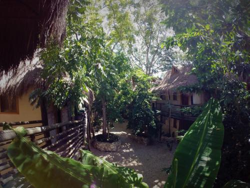 Indajani Hostel Tulum