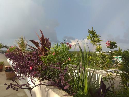 Hotel La Palmita
