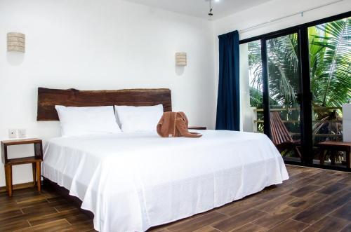 Apartamento Suite Casa Tortuga
