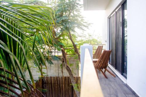 Apartamento Suite Casa Tortuga