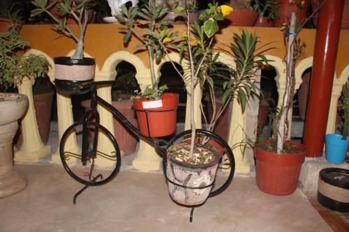 Apartamento El Jardin De Iris Tulum Penthouse