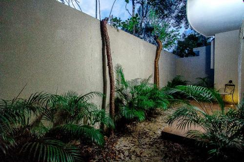 Agua De Mar Luxury Apartments By Im�xico