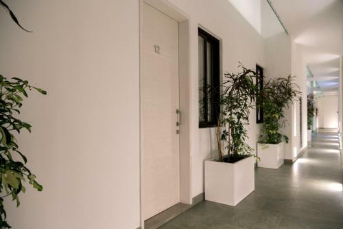 Quinto Sol Luxury Apartments By Im�xico