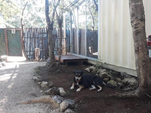 Containme Eco Chic Hotel