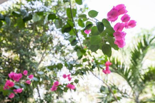 Relaxing Casa Tzalam 3br Surrounded By Nature By Happy Address