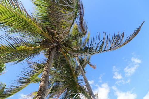 Los Amigos Beach Hotel Boutique