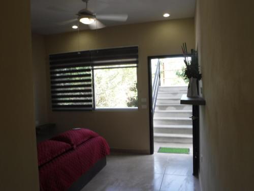 Apartamento Casa Mtl-tulum