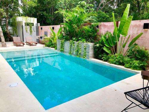 Selva Tulum Hermosom Apartamento Eco Chic