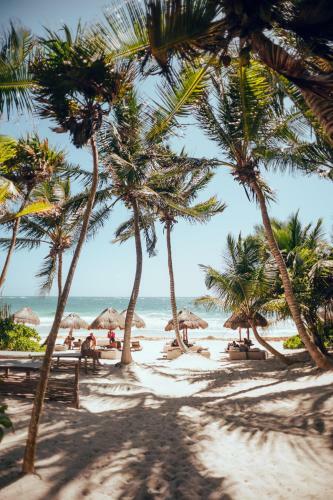Hotel Tribal Tulum