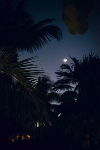 Hotel Tribal Tulum