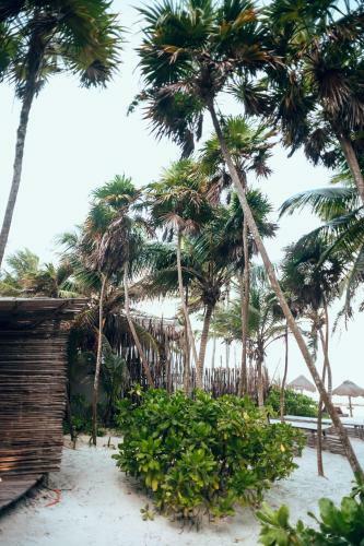Hotel Tribal Tulum