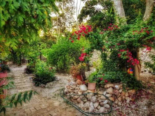 Hostal Casa Daniels