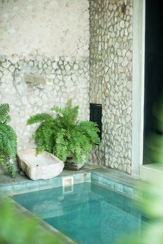 Hotel Coqui Coqui Valladolid