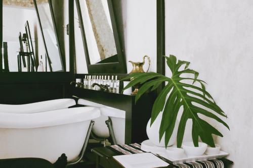 Hotel Coqui Coqui Valladolid