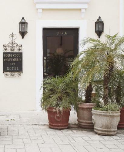 Hotel Coqui Coqui Valladolid