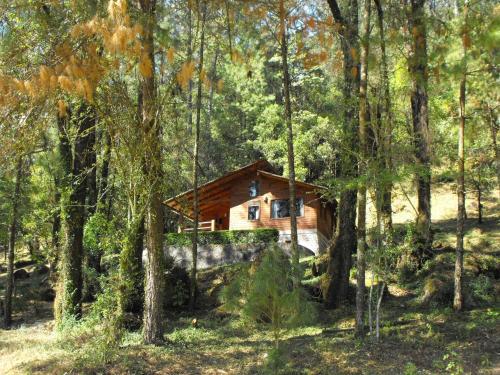 Hotel Caba�as Alpinas L�pez Fontes